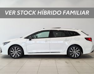 Coche Híbrido Familiar en Ourense